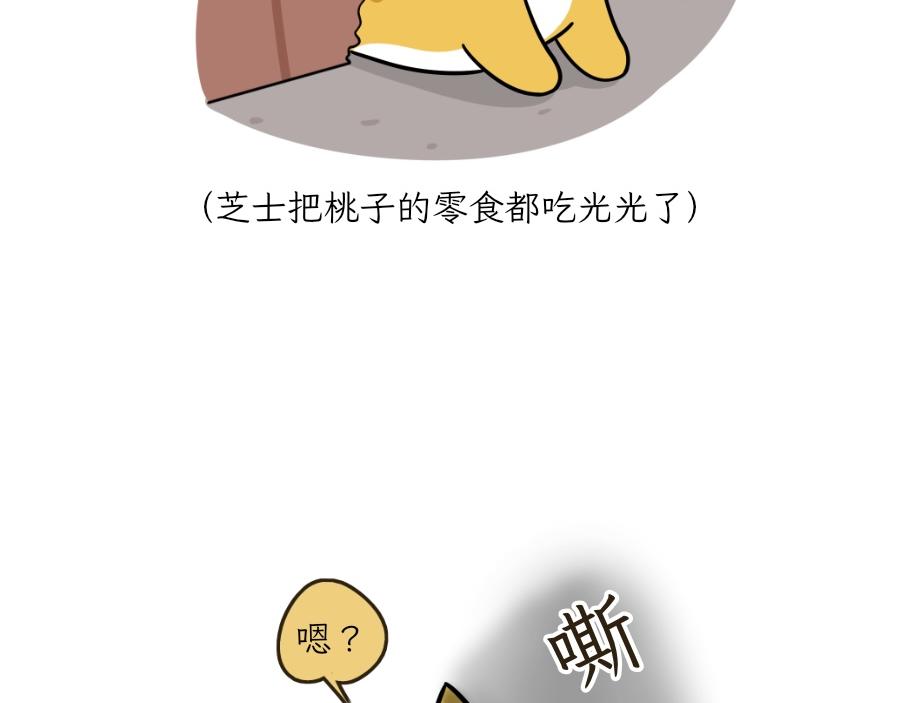 《吐司猫咪POUNDCAT》芝士的一天 第24页