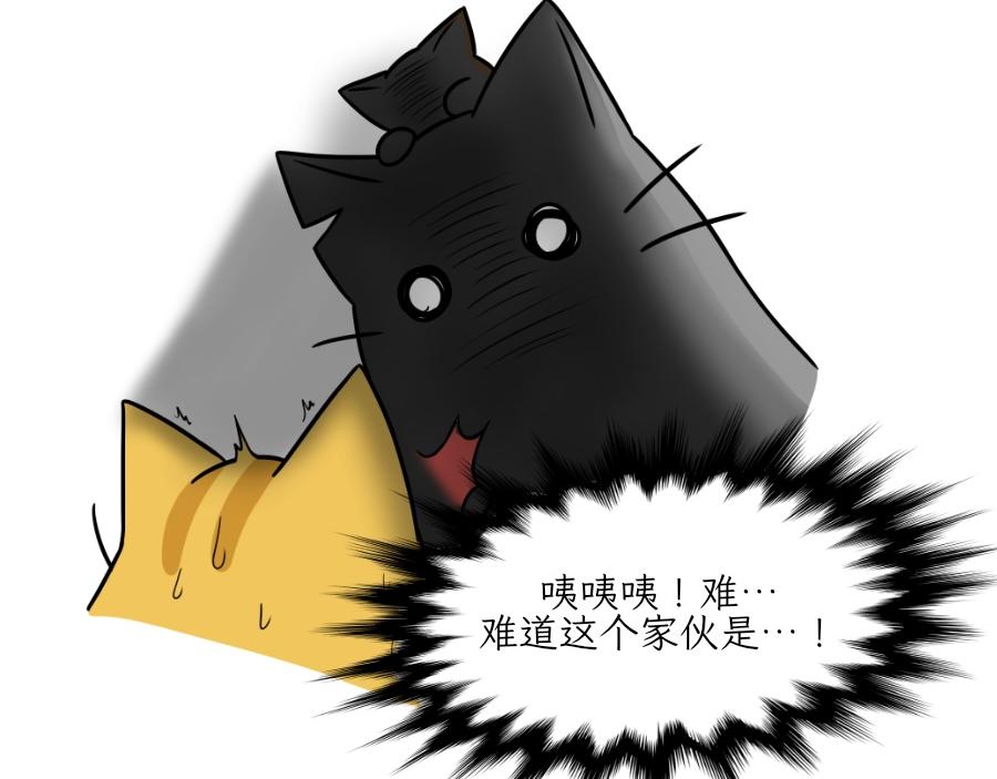 《吐司猫咪POUNDCAT》芝士的一天 第26页