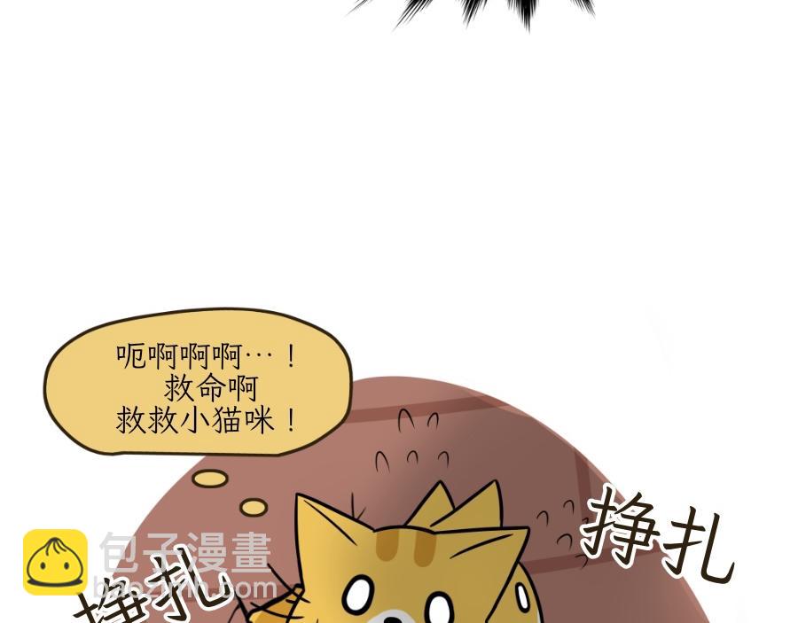 《吐司猫咪POUNDCAT》芝士的一天 第27页
