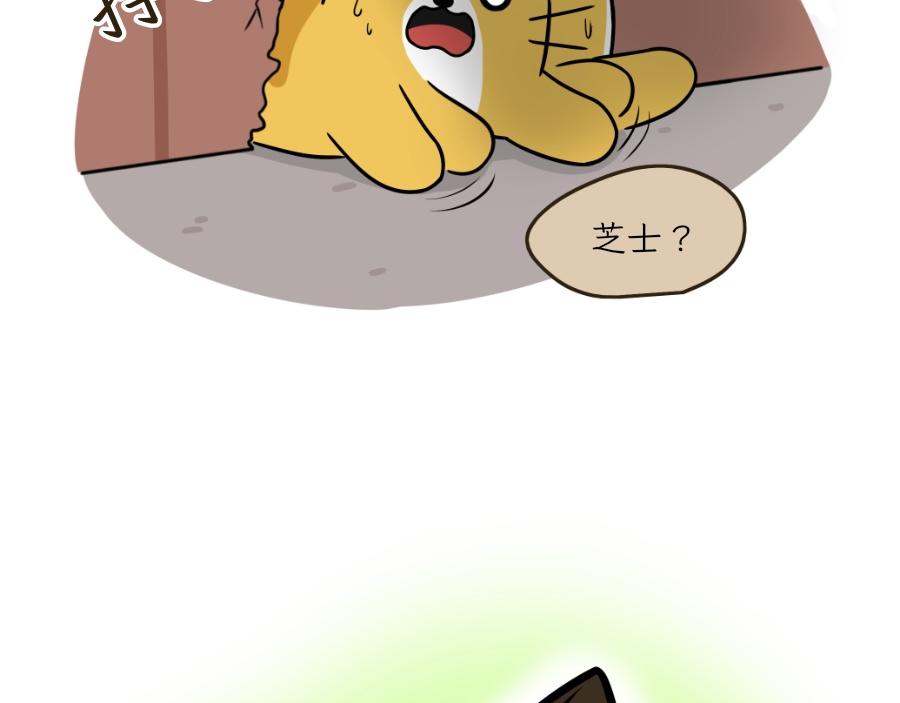 《吐司猫咪POUNDCAT》芝士的一天 第28页