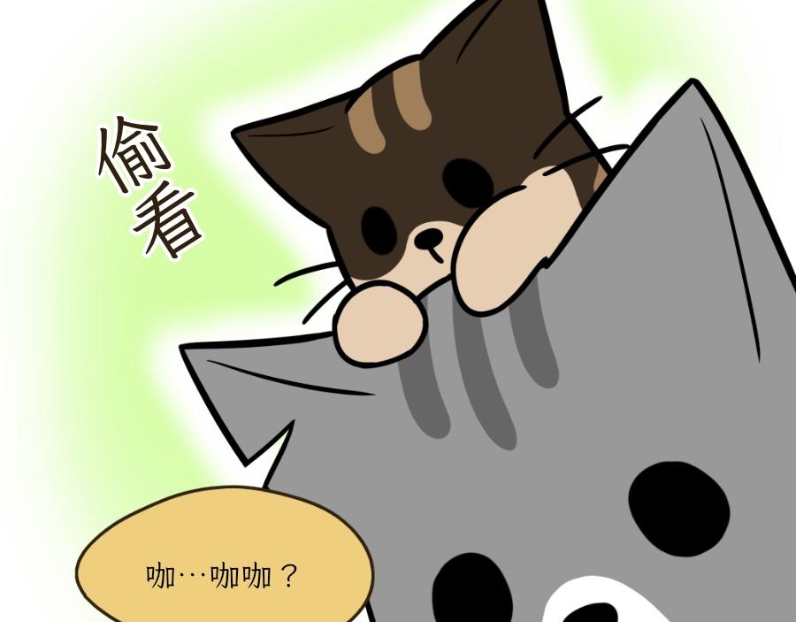 《吐司猫咪POUNDCAT》芝士的一天 第29页