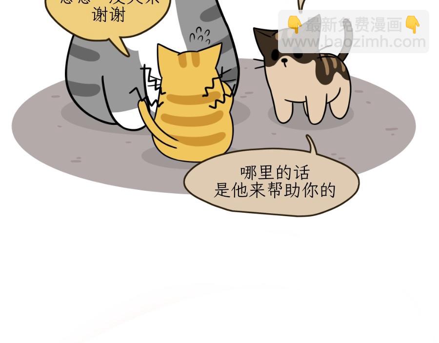 《吐司猫咪POUNDCAT》芝士的一天 第34页