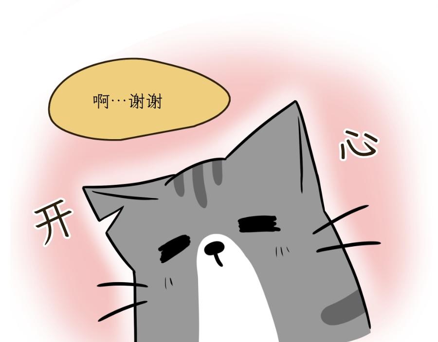 《吐司猫咪POUNDCAT》芝士的一天 第35页