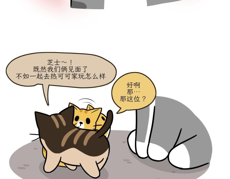《吐司猫咪POUNDCAT》芝士的一天 第36页