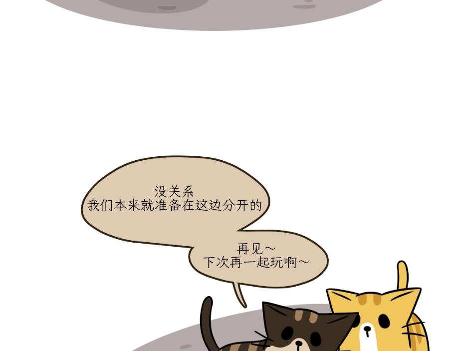 《吐司猫咪POUNDCAT》芝士的一天 第37页