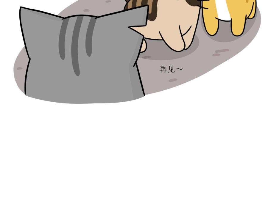 《吐司猫咪POUNDCAT》芝士的一天 第38页