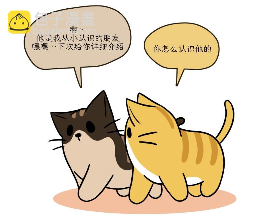 《吐司猫咪POUNDCAT》芝士的一天 第39页