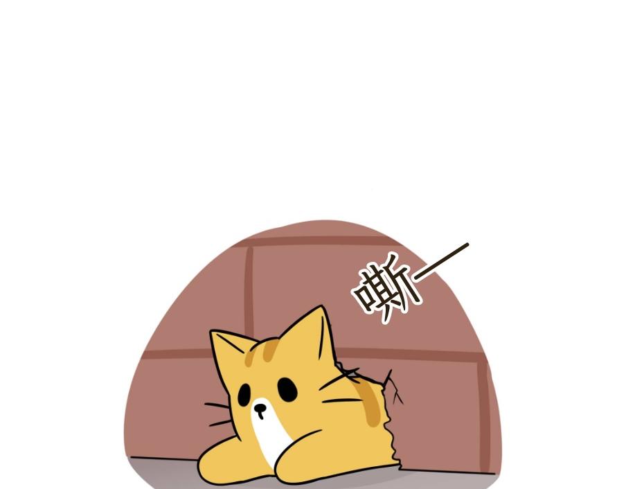 《吐司猫咪POUNDCAT》芝士的一天 第3页