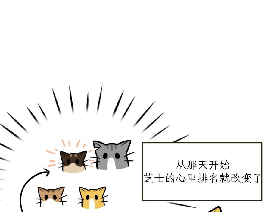 《吐司猫咪POUNDCAT》芝士的一天 第40页