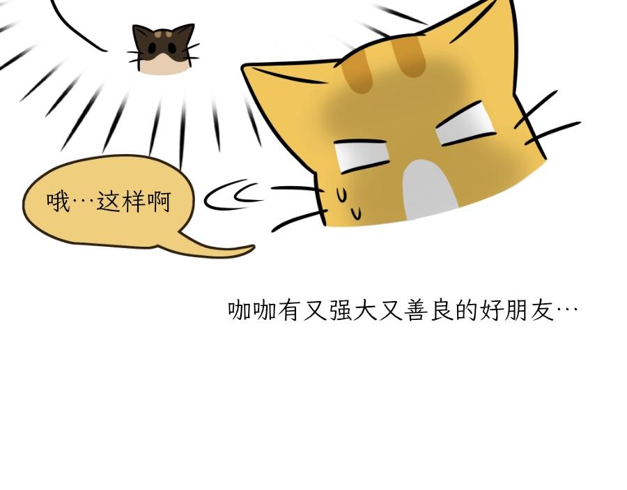 《吐司猫咪POUNDCAT》芝士的一天 第41页