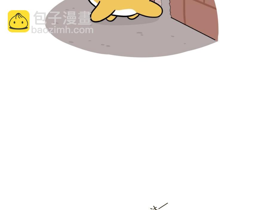 《吐司猫咪POUNDCAT》芝士的一天 第5页
