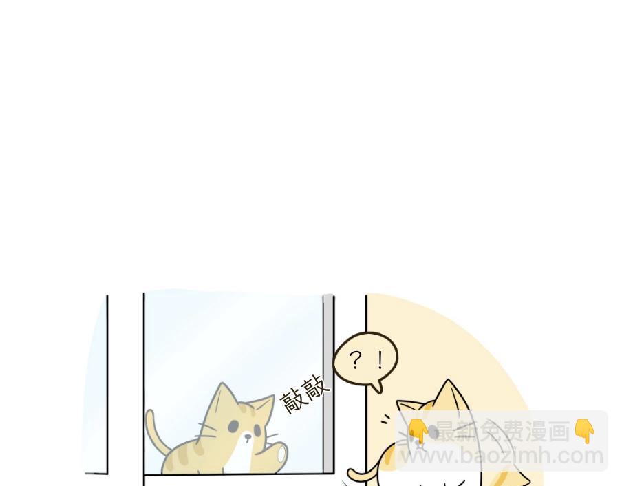 《吐司猫咪POUNDCAT》芝士的一天 第7页