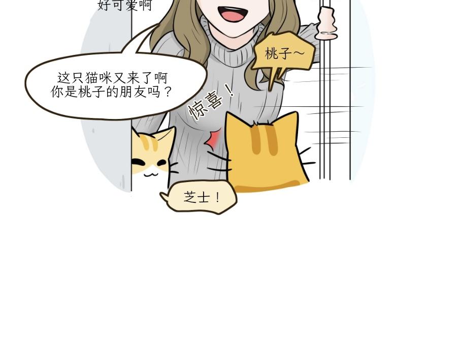 《吐司猫咪POUNDCAT》芝士的一天 第9页