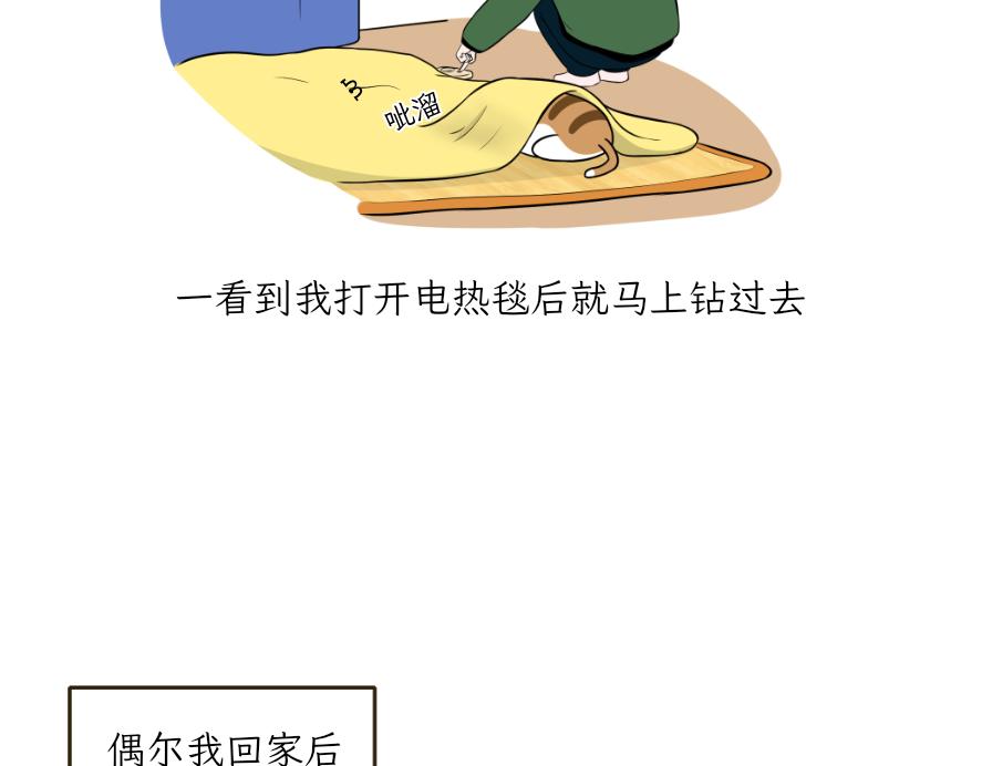 《吐司猫咪POUNDCAT》电热毯和吹风机 第11页