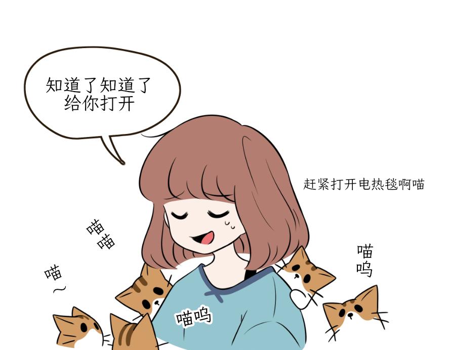 《吐司猫咪POUNDCAT》电热毯和吹风机 第13页