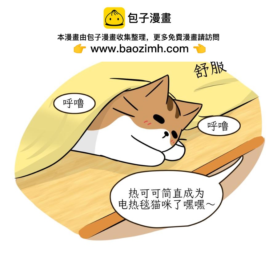 《吐司猫咪POUNDCAT》电热毯和吹风机 第20页