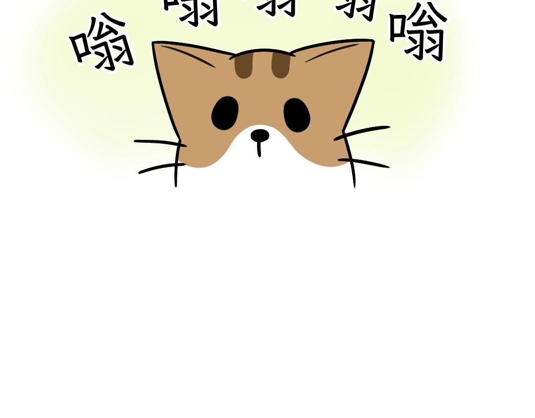 《吐司猫咪POUNDCAT》电热毯和吹风机 第27页