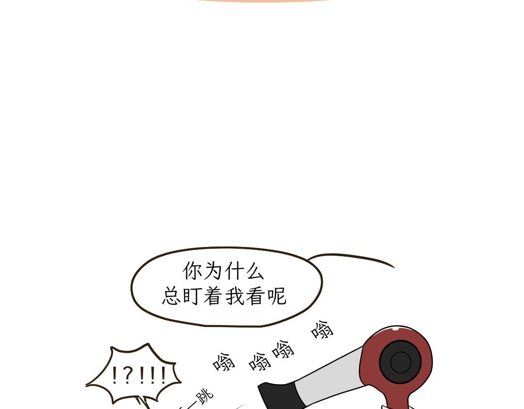 《吐司猫咪POUNDCAT》电热毯和吹风机 第29页