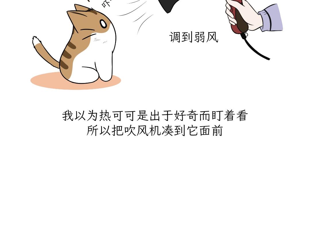 《吐司猫咪POUNDCAT》电热毯和吹风机 第30页
