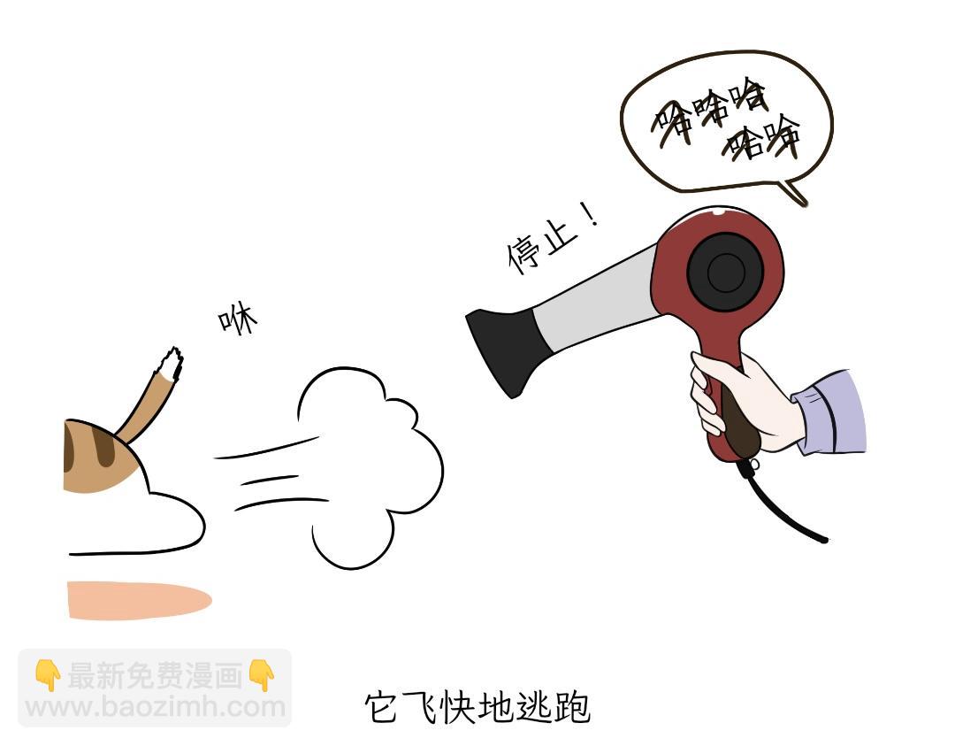 《吐司猫咪POUNDCAT》电热毯和吹风机 第31页