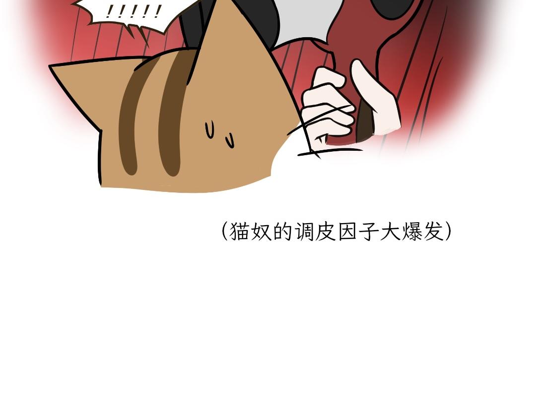 《吐司猫咪POUNDCAT》电热毯和吹风机 第33页