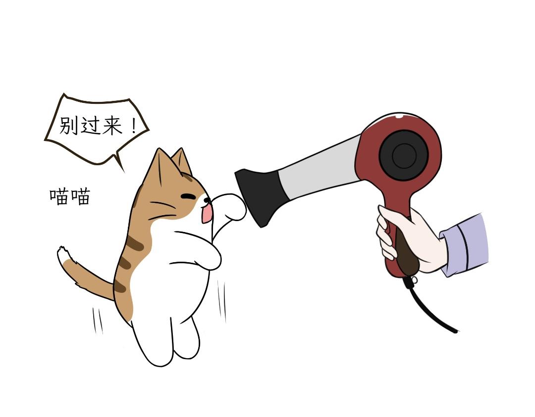 《吐司猫咪POUNDCAT》电热毯和吹风机 第34页