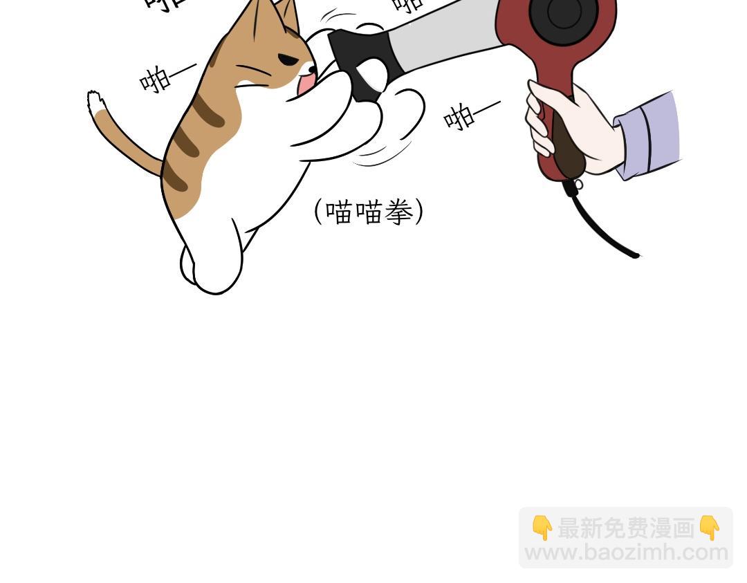 《吐司猫咪POUNDCAT》电热毯和吹风机 第36页