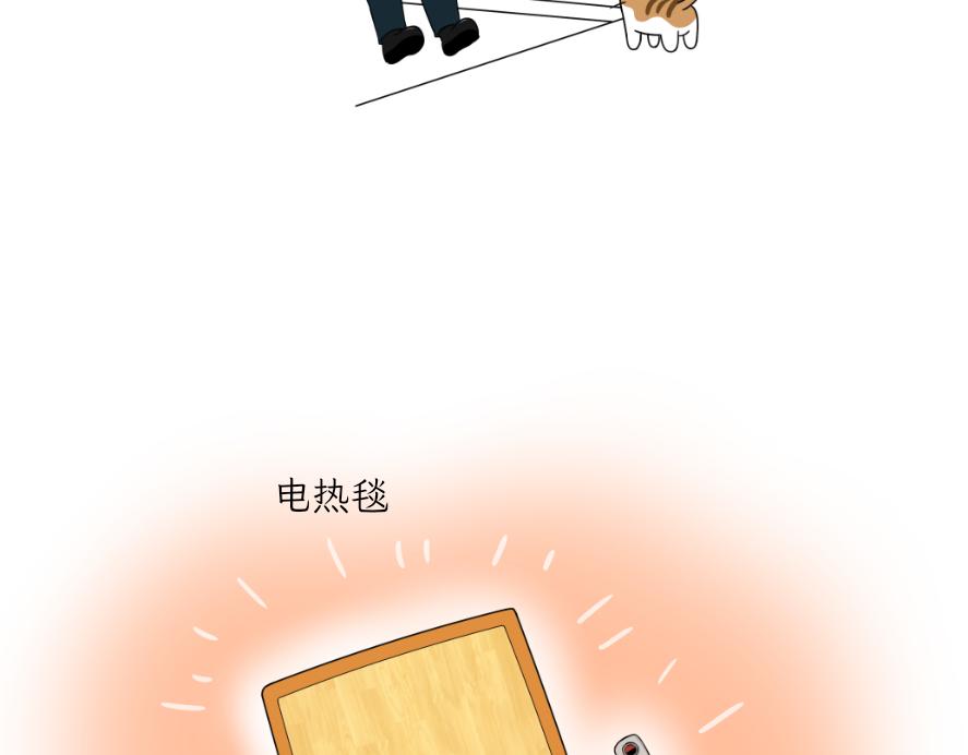《吐司猫咪POUNDCAT》电热毯和吹风机 第3页