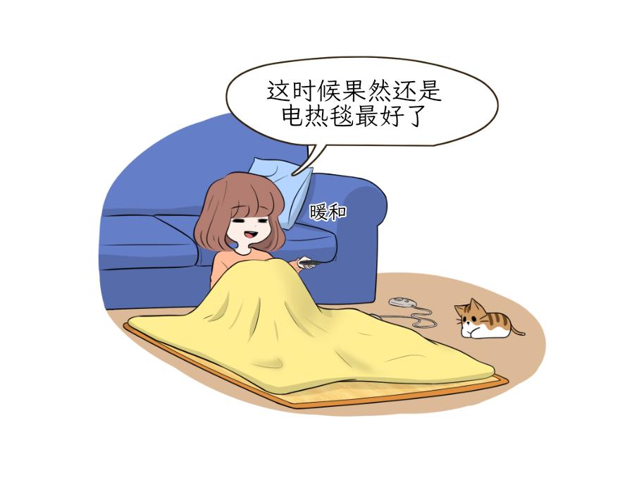 《吐司猫咪POUNDCAT》电热毯和吹风机 第5页