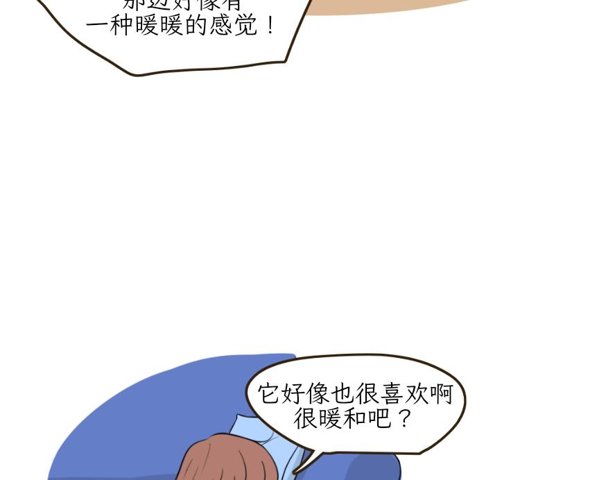 《吐司猫咪POUNDCAT》电热毯和吹风机 第7页