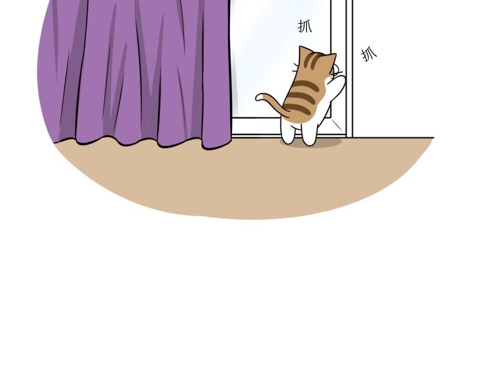 《吐司猫咪POUNDCAT》热可可技能满点 第11页