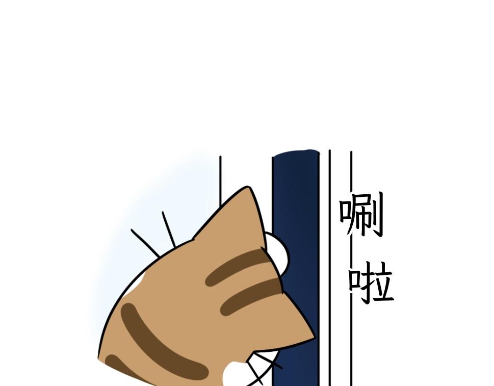 《吐司猫咪POUNDCAT》热可可技能满点 第12页