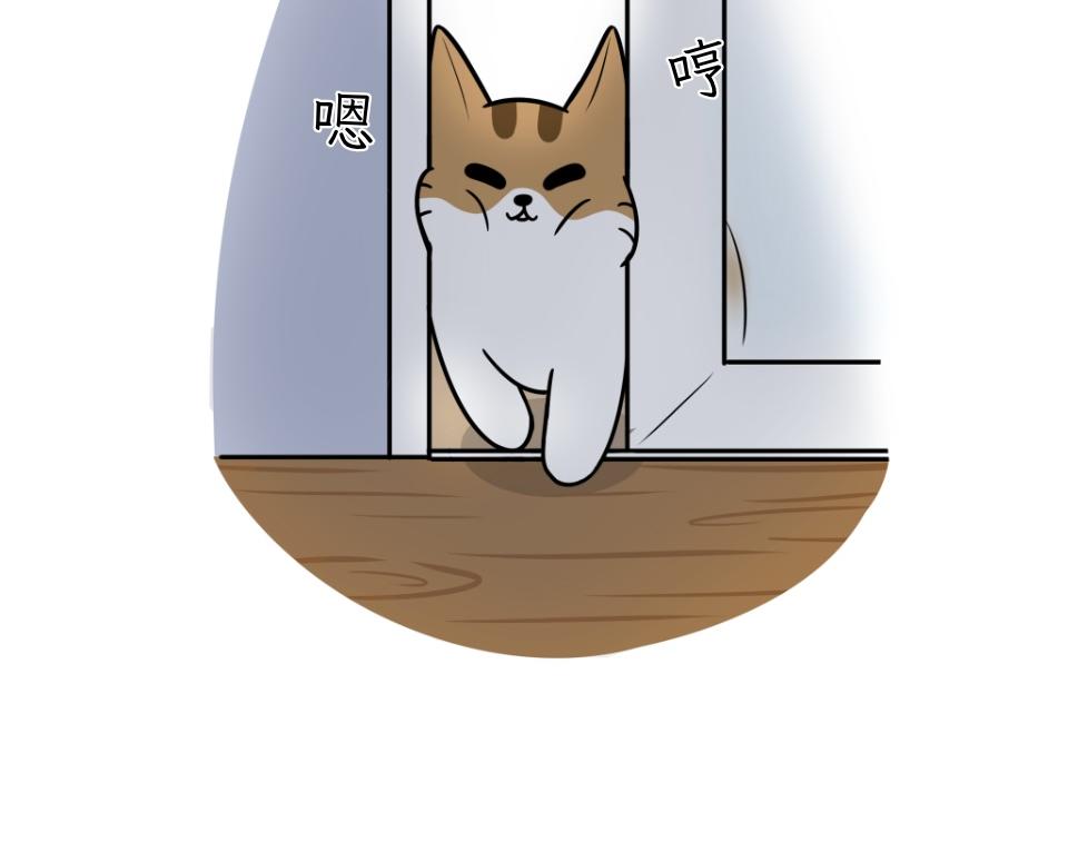 《吐司猫咪POUNDCAT》热可可技能满点 第14页