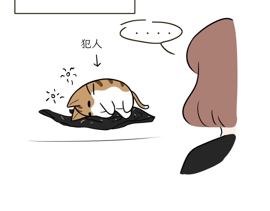 《吐司猫咪POUNDCAT》热可可技能满点 第24页