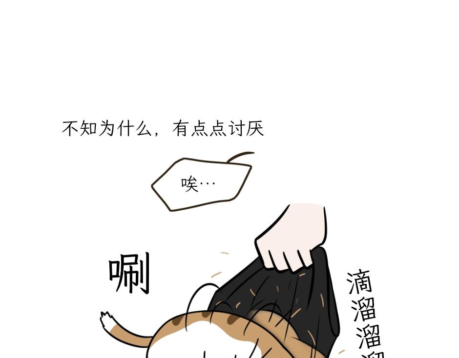 《吐司猫咪POUNDCAT》热可可技能满点 第25页