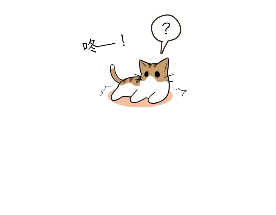 《吐司猫咪POUNDCAT》热可可技能满点 第27页