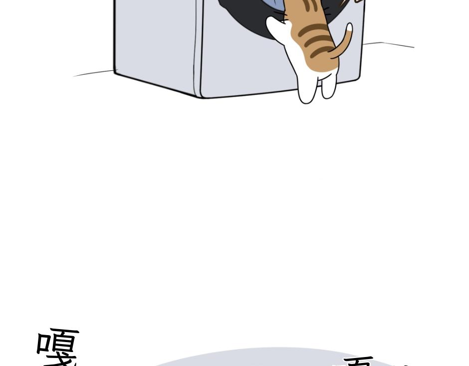 《吐司猫咪POUNDCAT》热可可技能满点 第34页