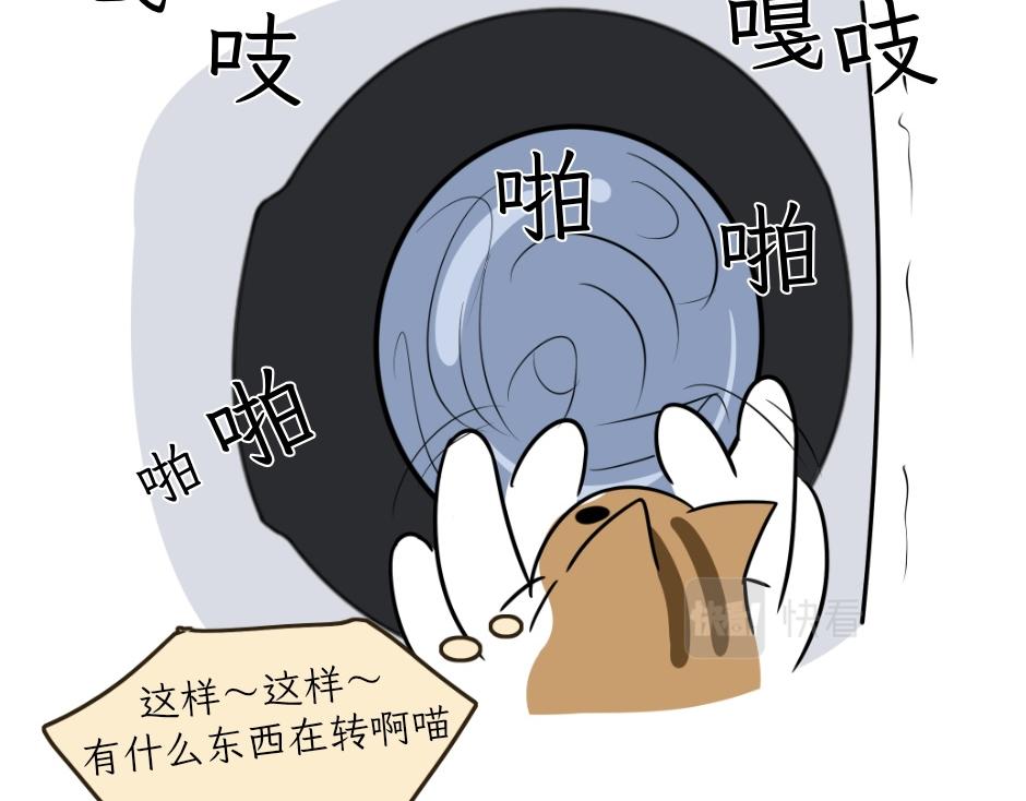 《吐司猫咪POUNDCAT》热可可技能满点 第35页