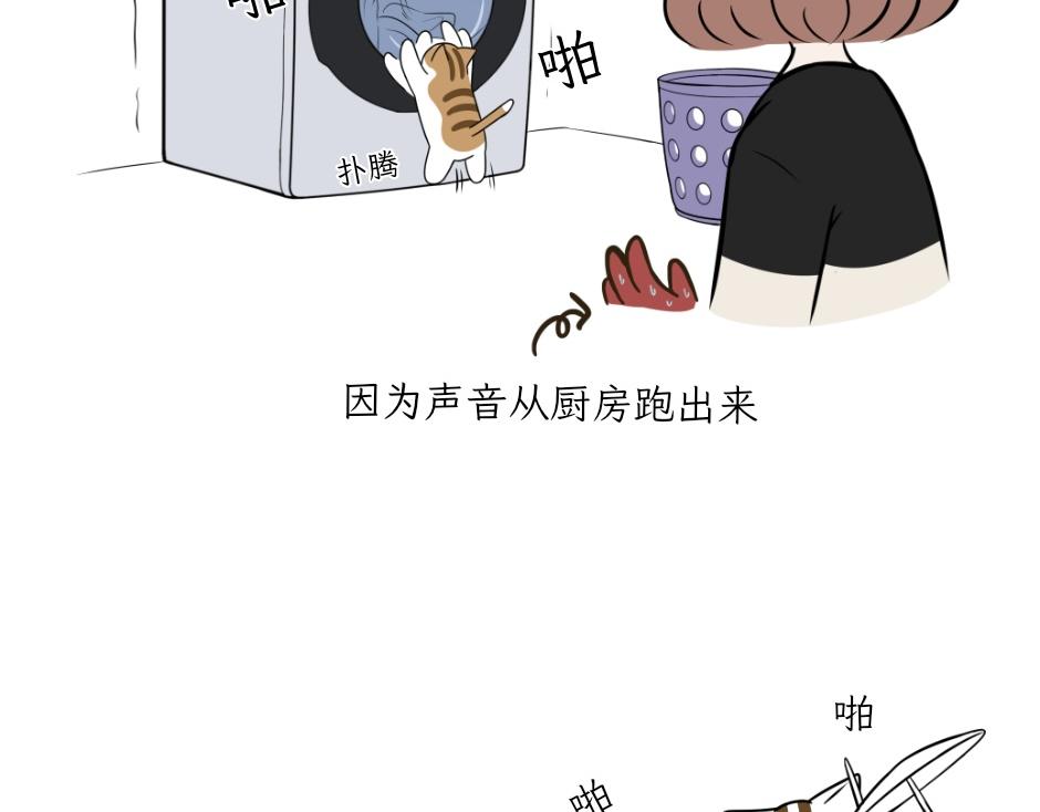 《吐司猫咪POUNDCAT》热可可技能满点 第37页