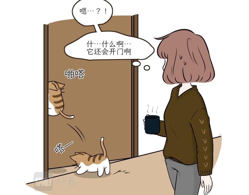 《吐司猫咪POUNDCAT》热可可技能满点 第9页