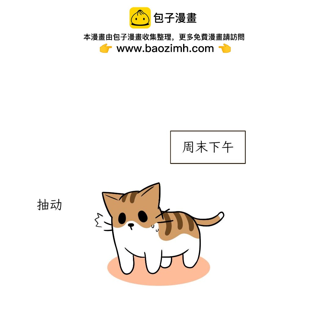 《吐司猫咪POUNDCAT》热可可的新身份 第2页
