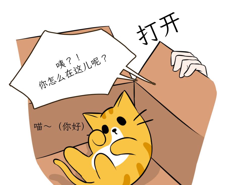 《吐司猫咪POUNDCAT》热可可的新身份 第36页