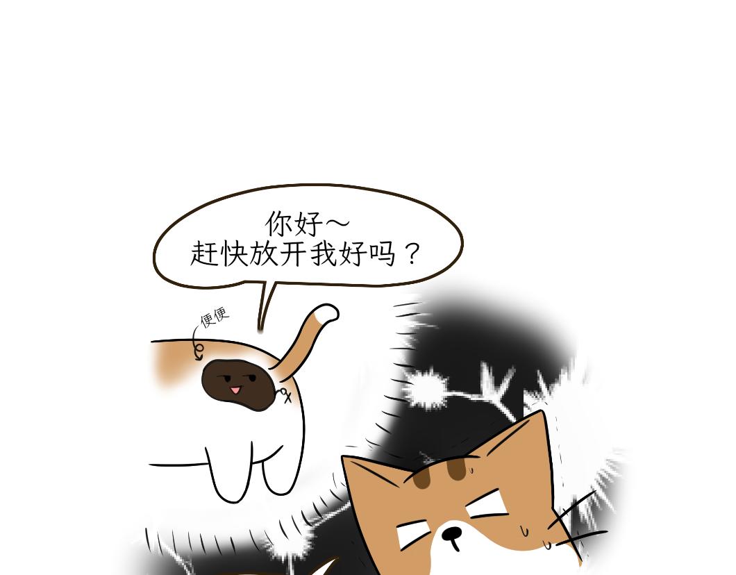 《吐司猫咪POUNDCAT》热可可的新身份 第3页