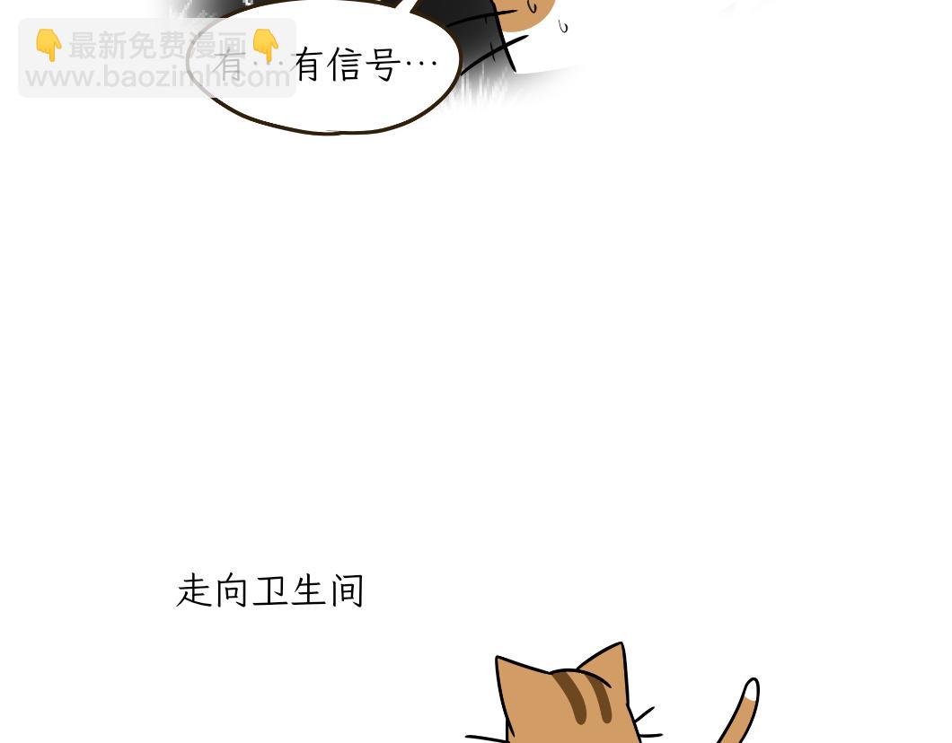 《吐司猫咪POUNDCAT》热可可的新身份 第4页