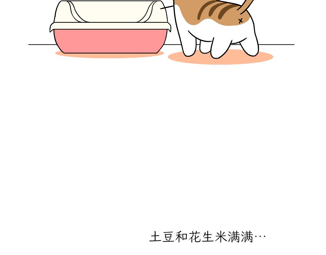 《吐司猫咪POUNDCAT》热可可的新身份 第5页
