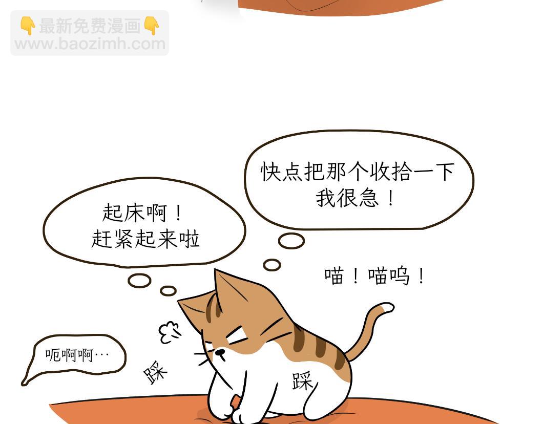 《吐司猫咪POUNDCAT》热可可的新身份 第8页