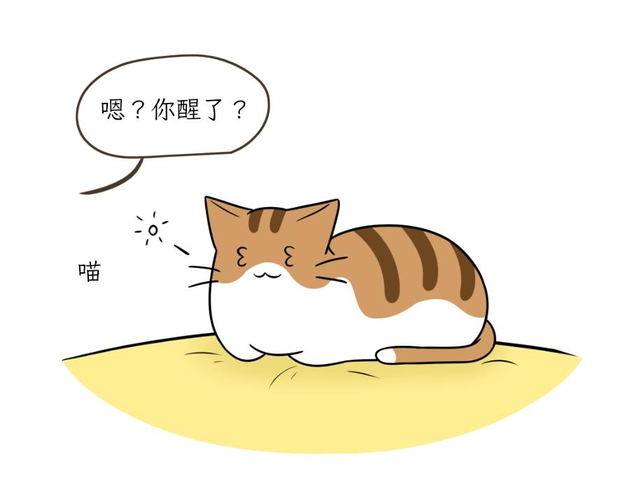 《吐司猫咪POUNDCAT》完美的借口 第13页