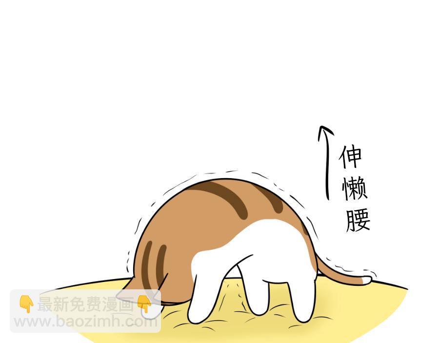 《吐司猫咪POUNDCAT》完美的借口 第14页