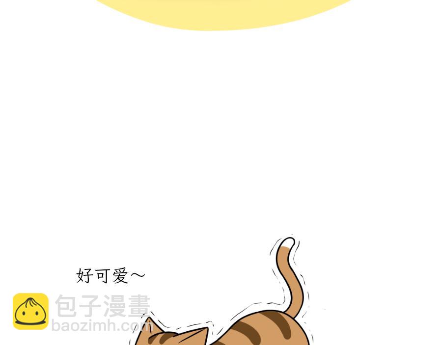 《吐司猫咪POUNDCAT》完美的借口 第15页