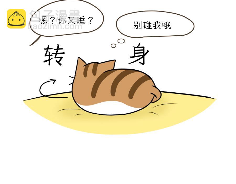 《吐司猫咪POUNDCAT》完美的借口 第18页